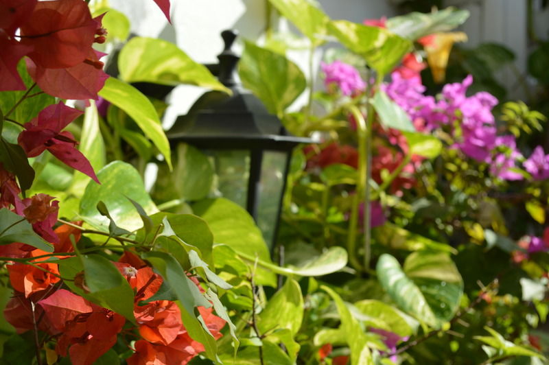Casa Mary Otel Cartagena Dış mekan fotoğraf