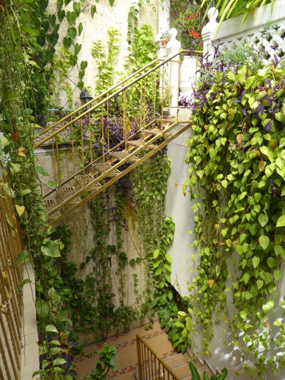 Casa Mary Otel Cartagena Dış mekan fotoğraf